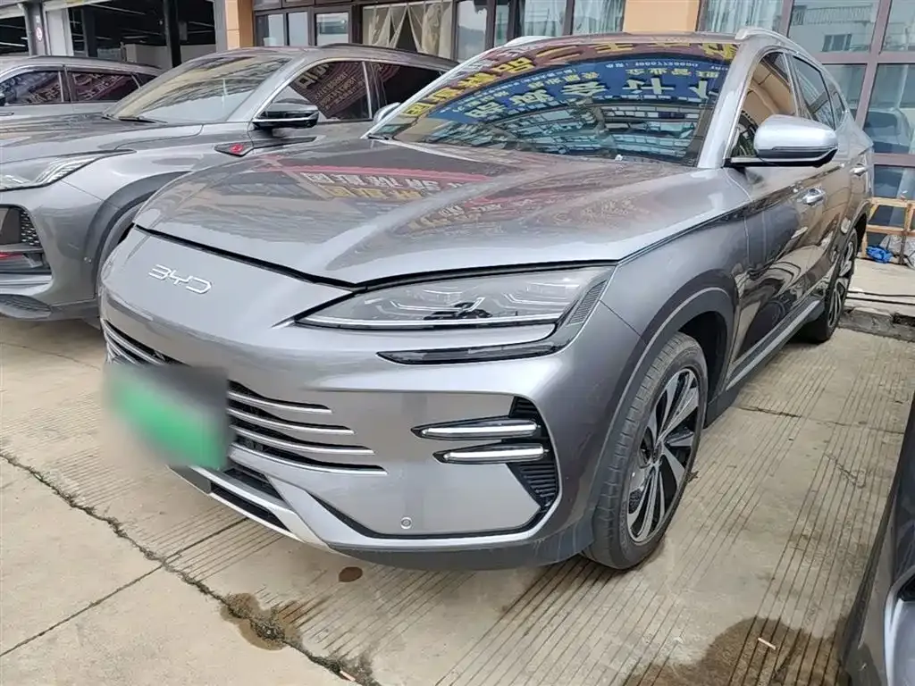 BYD PLUS New Energy — фото 1