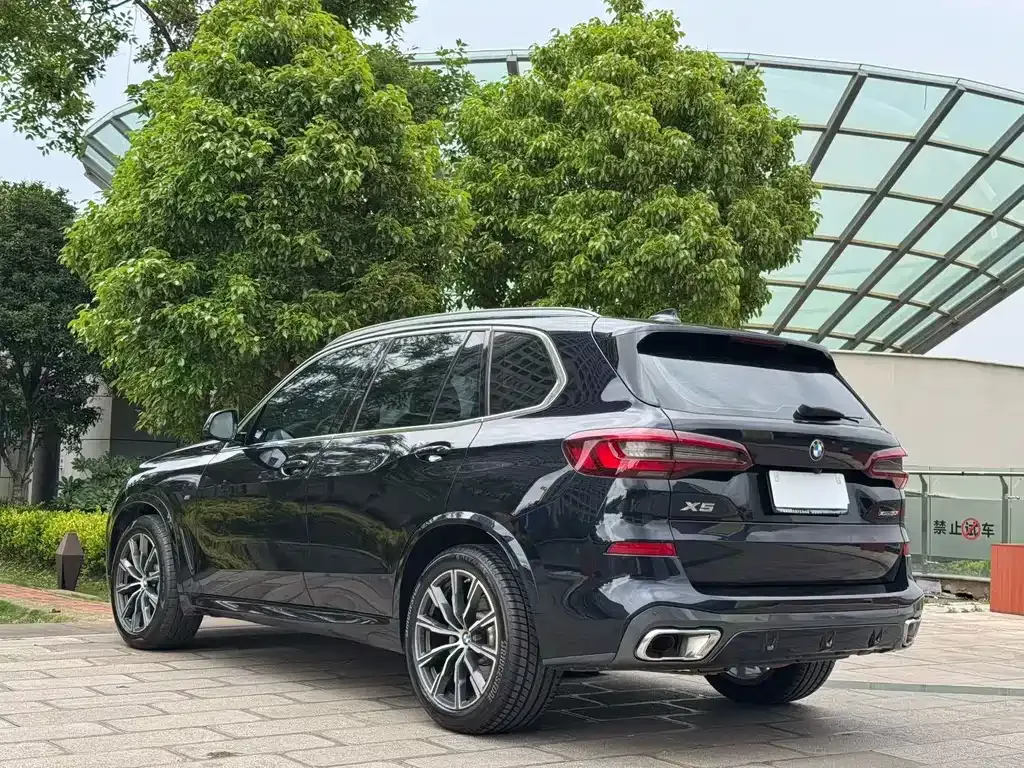 BMW X5 (Import) — фото 6
