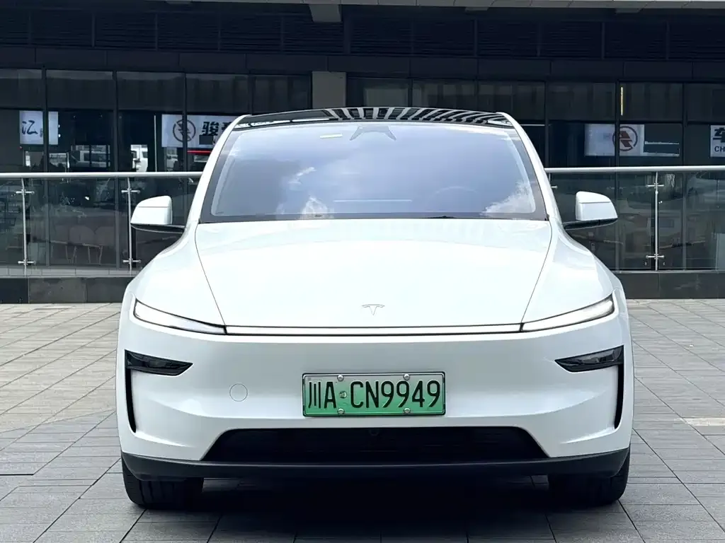 Tesla Model Y — фото 4