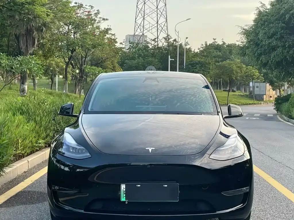 Tesla Model Y — фото 9