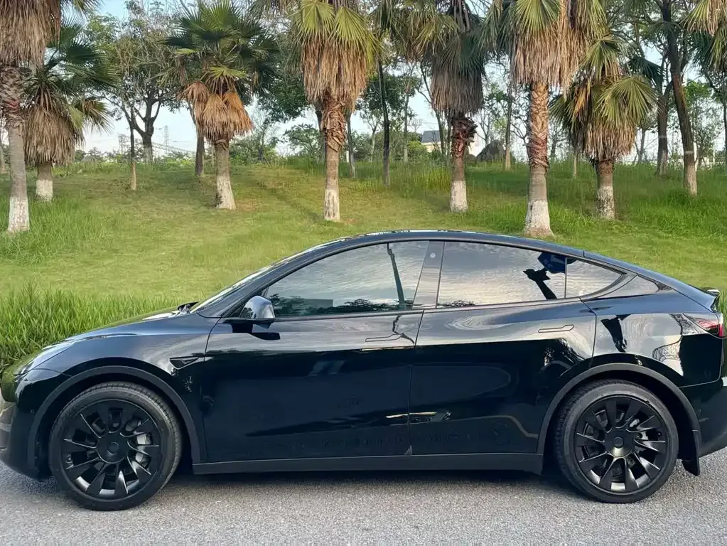 Tesla Model Y — фото 8