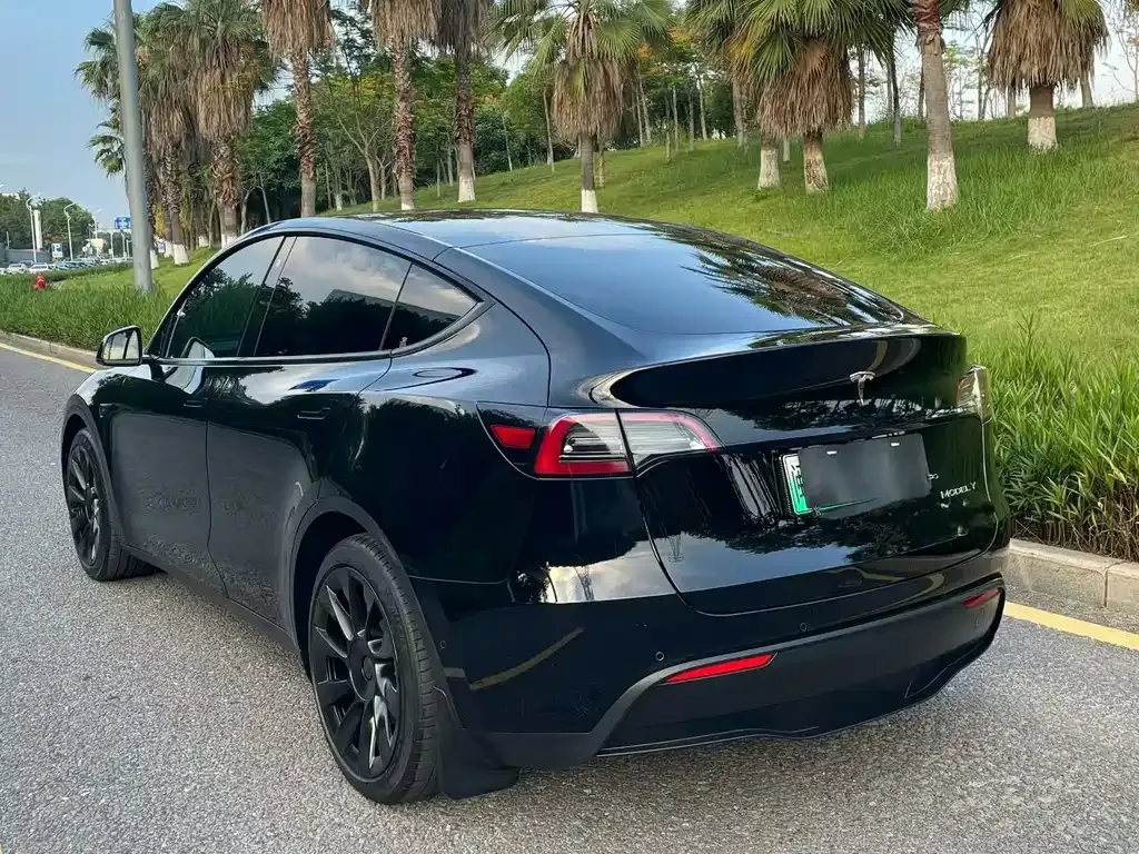 Tesla Model Y — фото 7