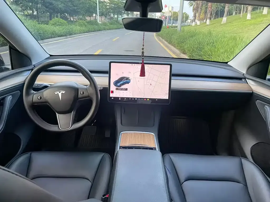 Tesla Model Y — фото 2