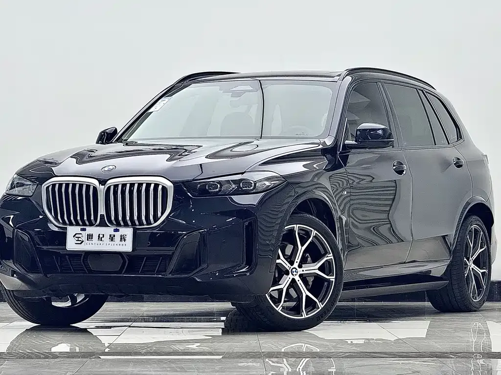 BMW X5 — фото 6