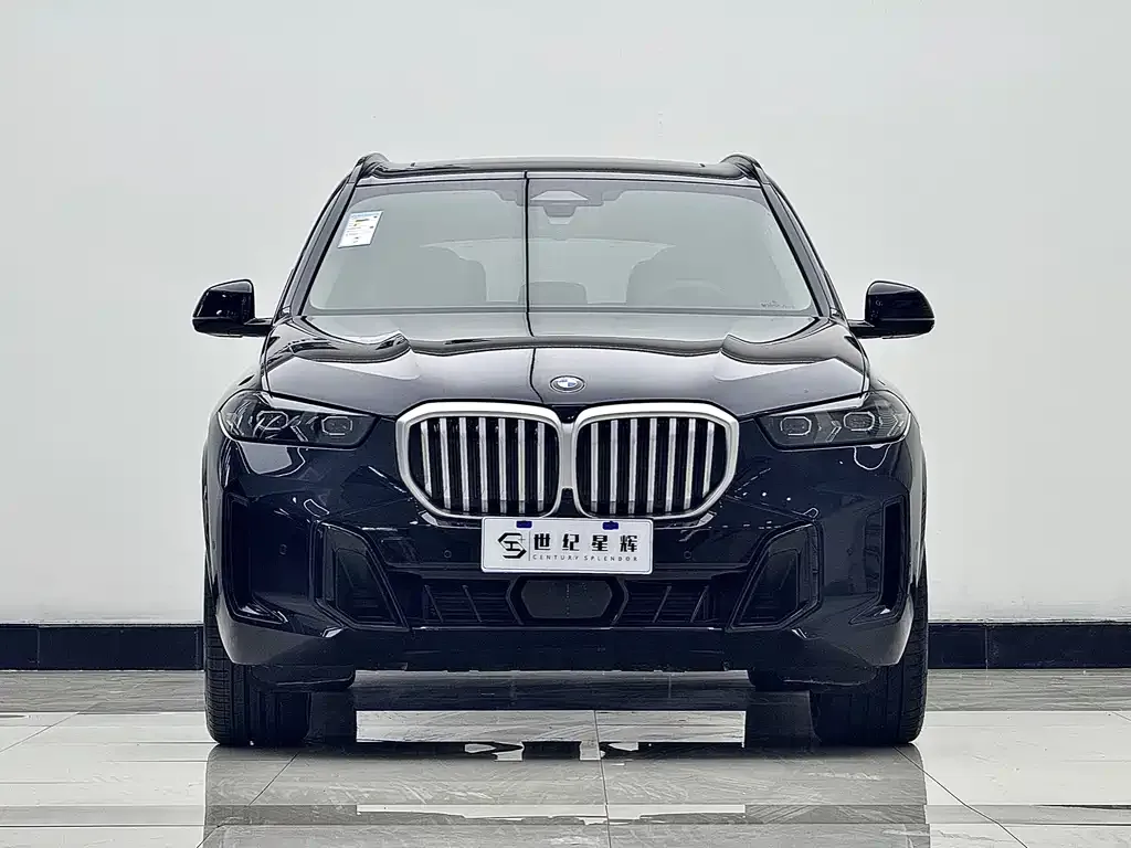 BMW X5 — фото 2