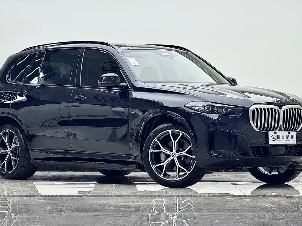 BMW X5 — фото 5