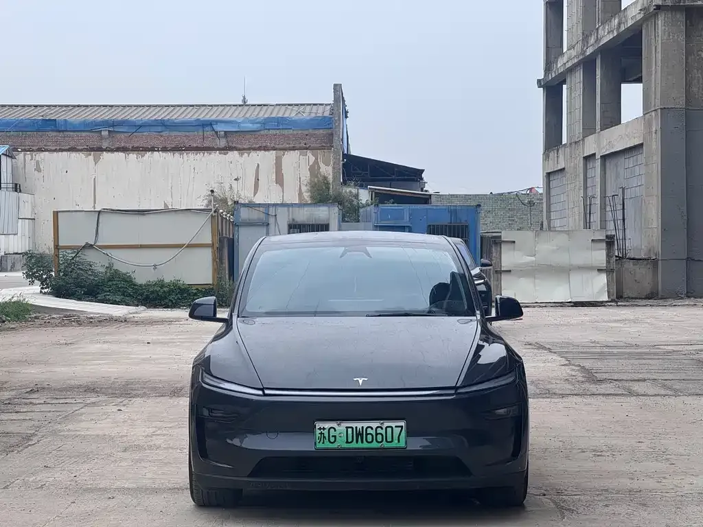 Tesla Model Y — фото 4
