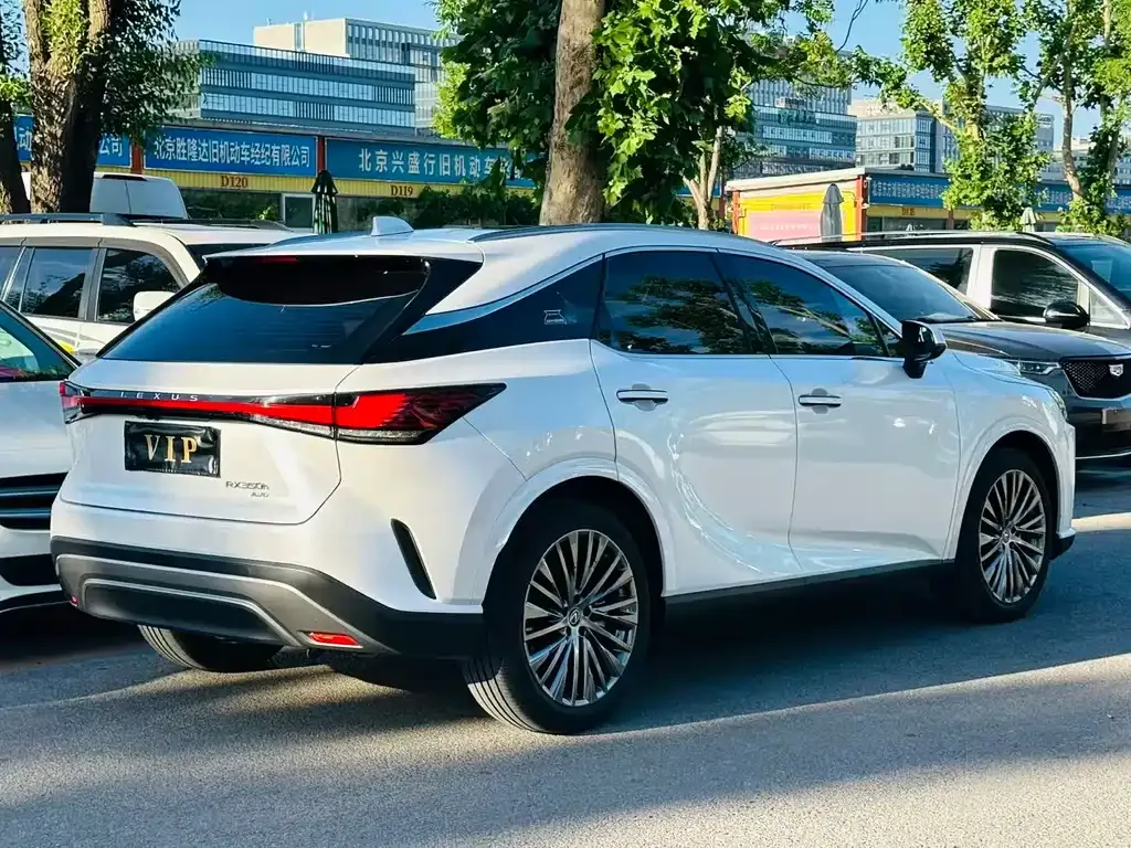 Lexus RX — фото 8