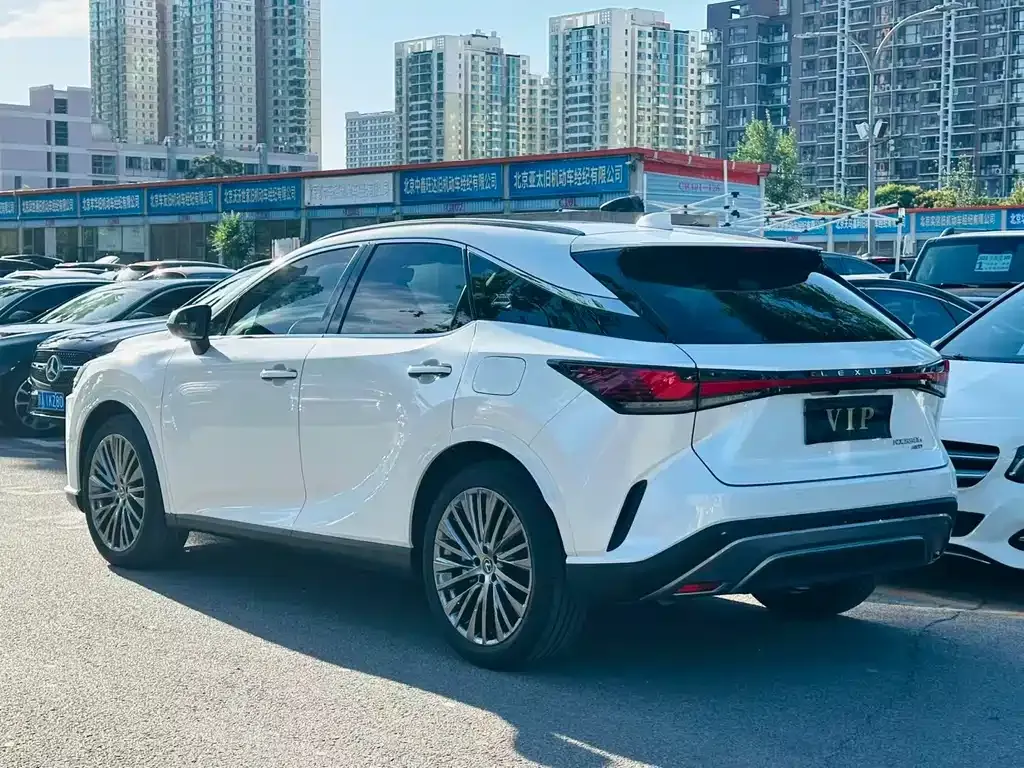 Lexus RX — фото 10