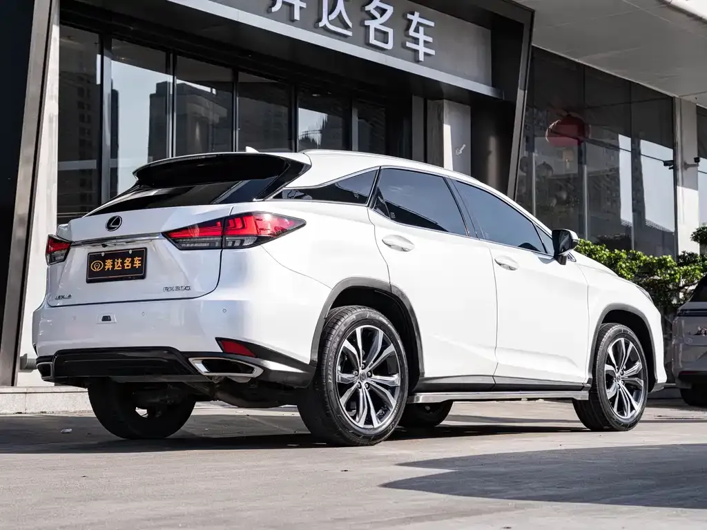 Lexus RX — фото 10