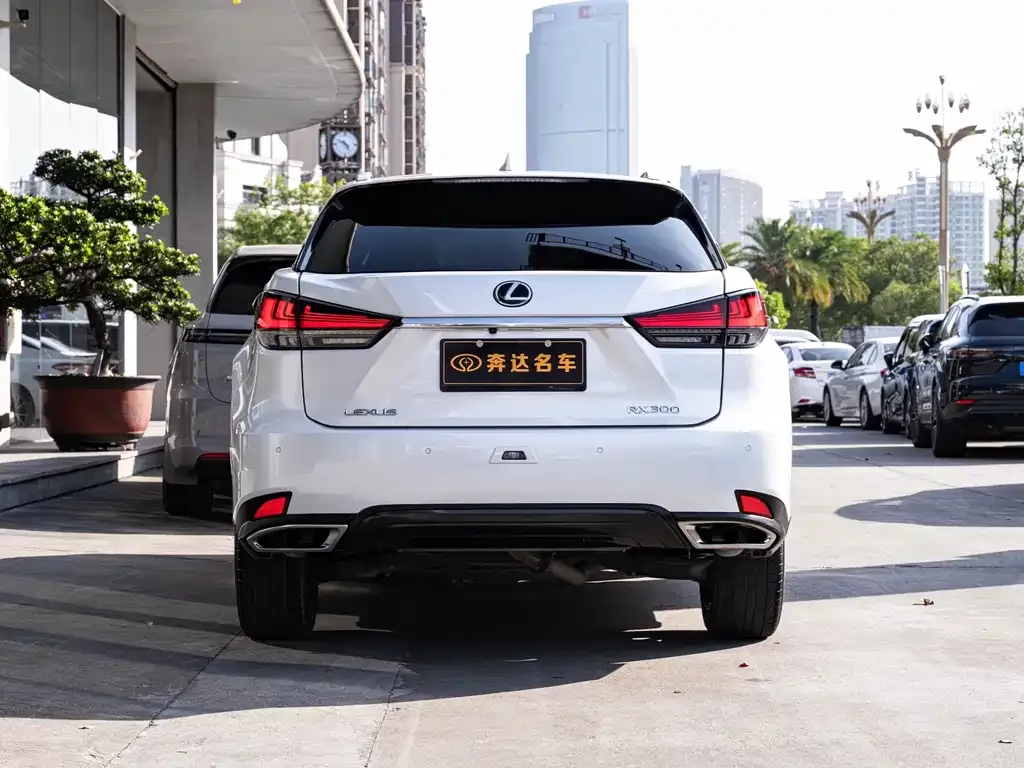 Lexus RX — фото 5