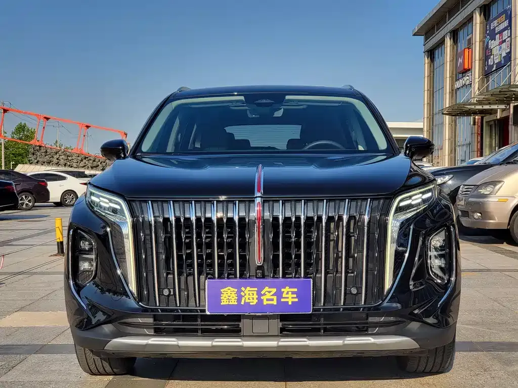 Hongqi HS7 2024 из CN, фото 5