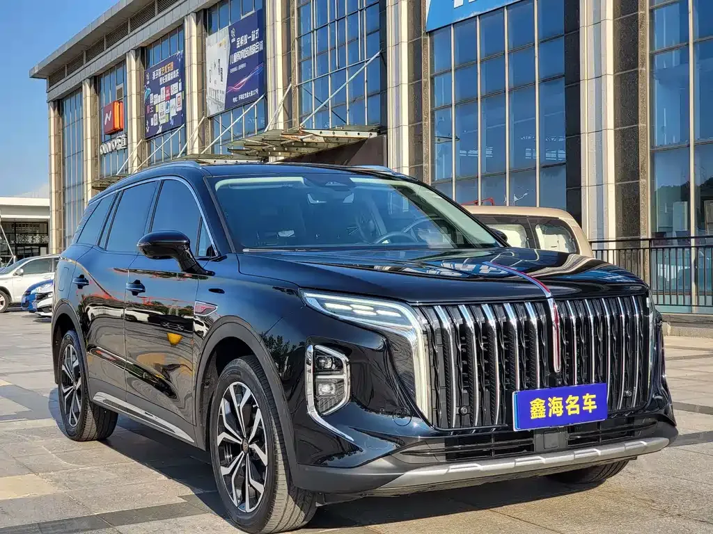 Hongqi HS7 2024 из CN, фото 9