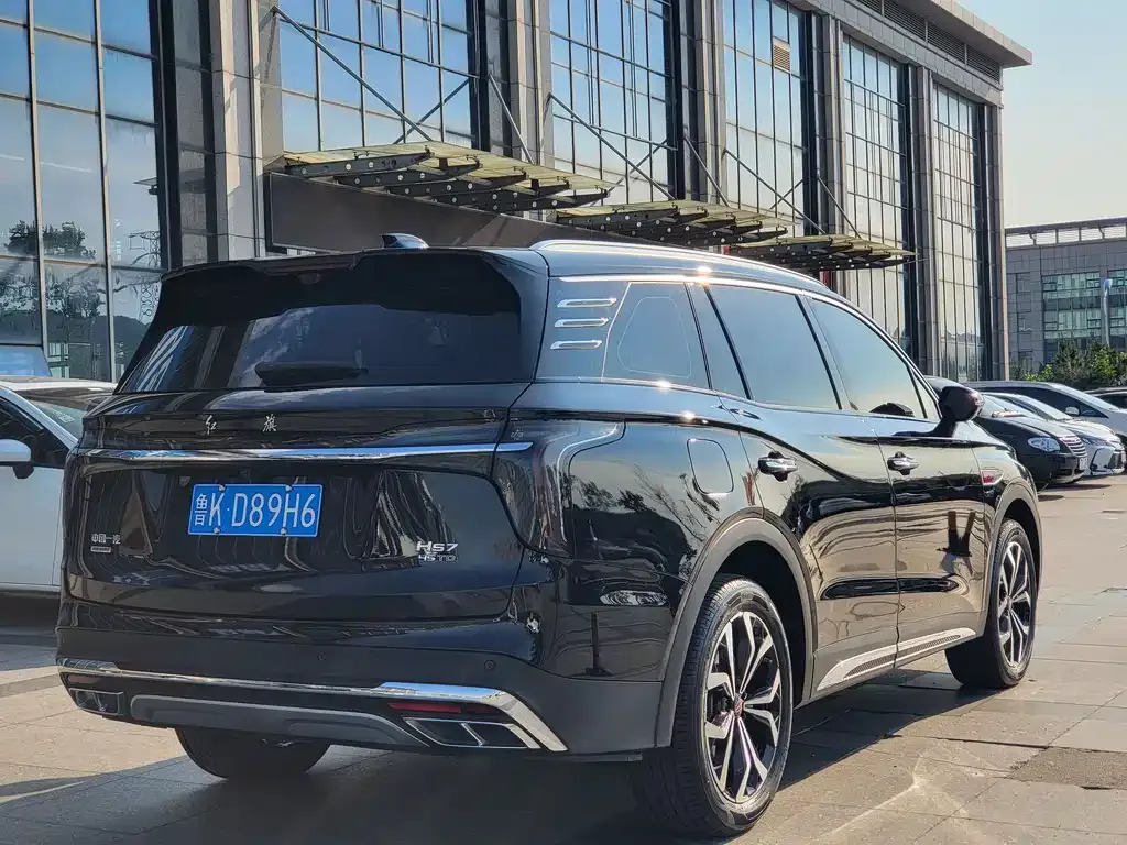 Hongqi HS7 2024 из CN, фото 8