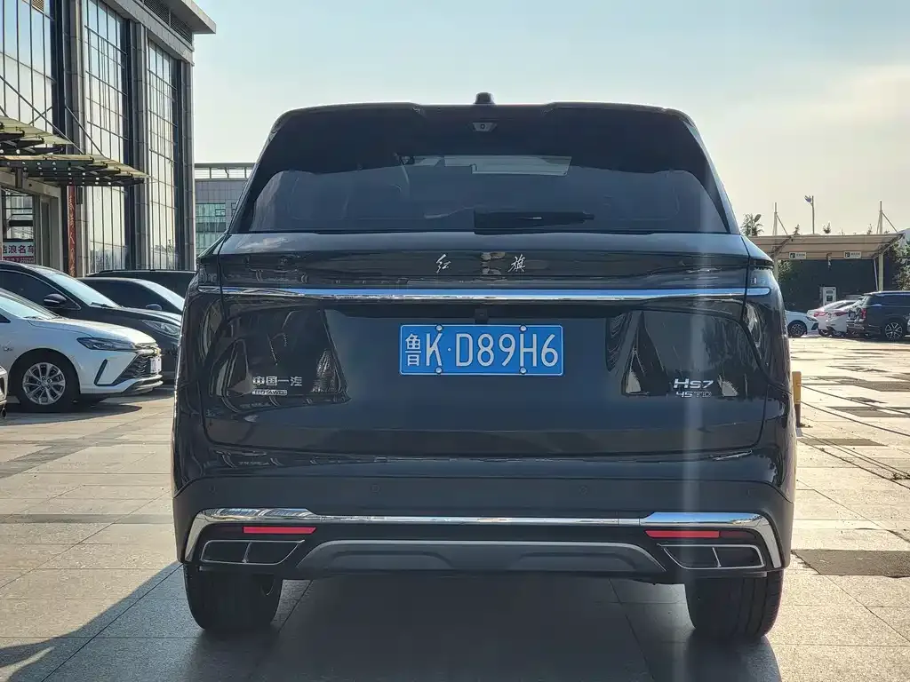 Hongqi HS7 2024 из CN, фото 7