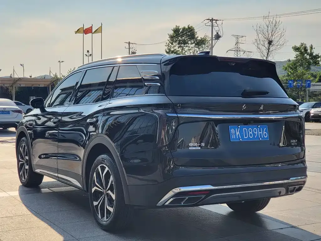 Hongqi HS7 2024 из CN, фото 2