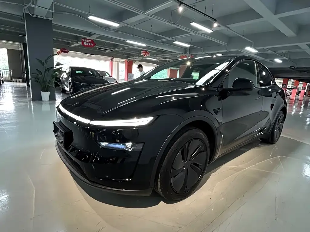 Tesla Model Y — фото 1