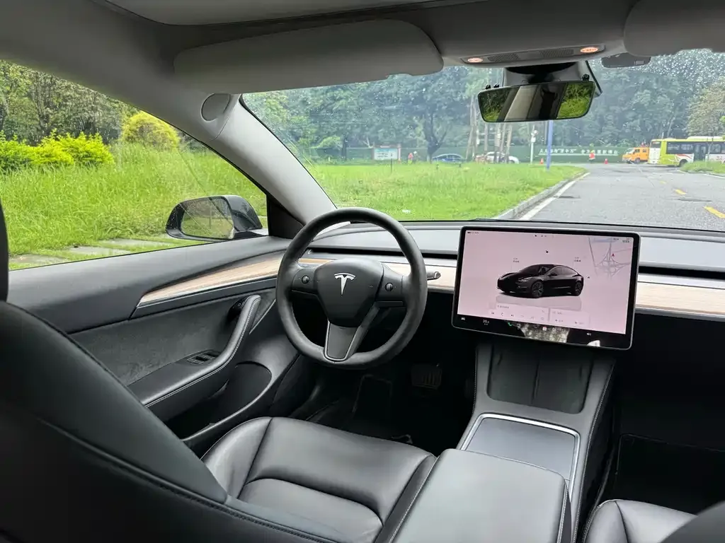 Tesla Model 3 — фото 2