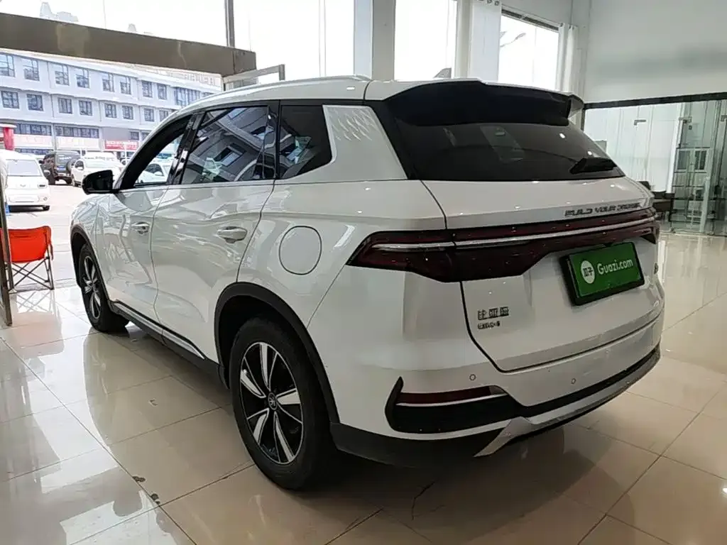 BYD Pro New Energy — фото 8