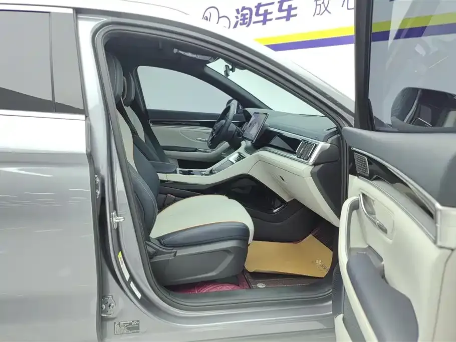 BYD PLUS New Energy — фото 10