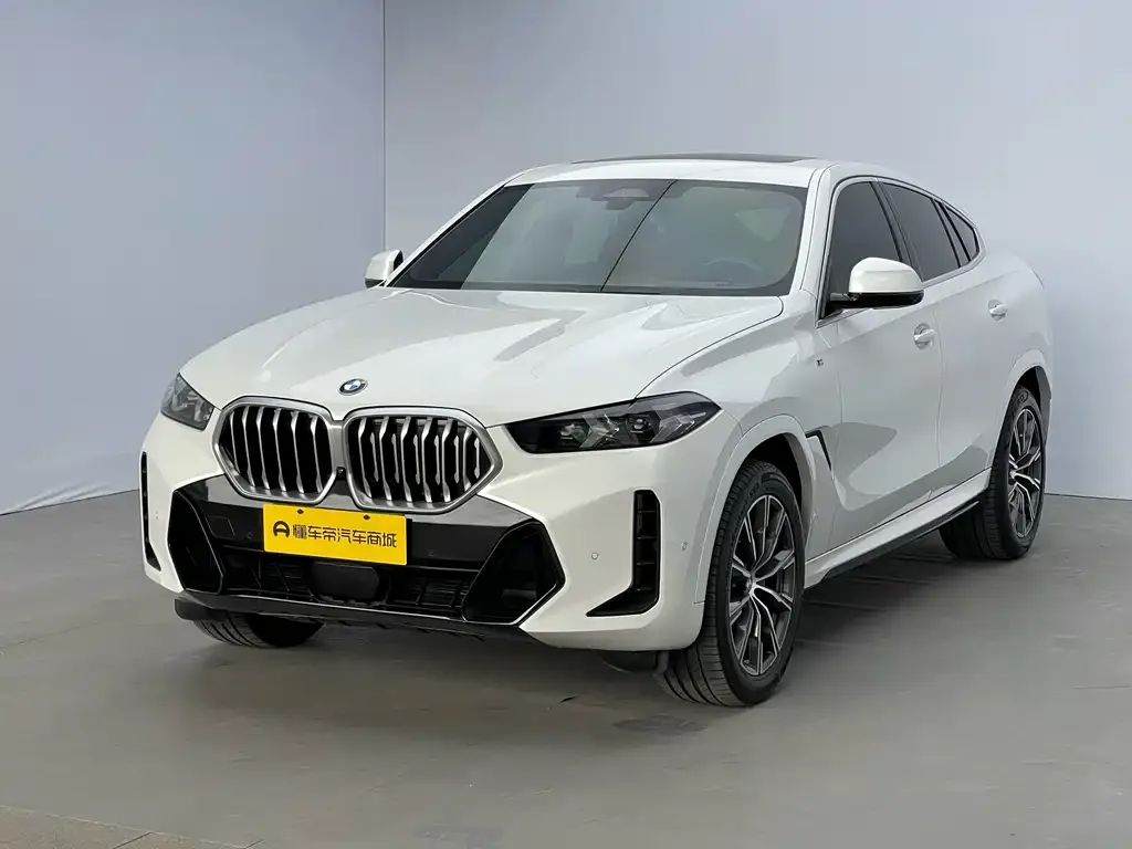 BMW X6 — фото 1
