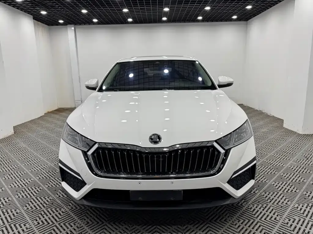 Skoda Octavia 2022 из CN, фото 2