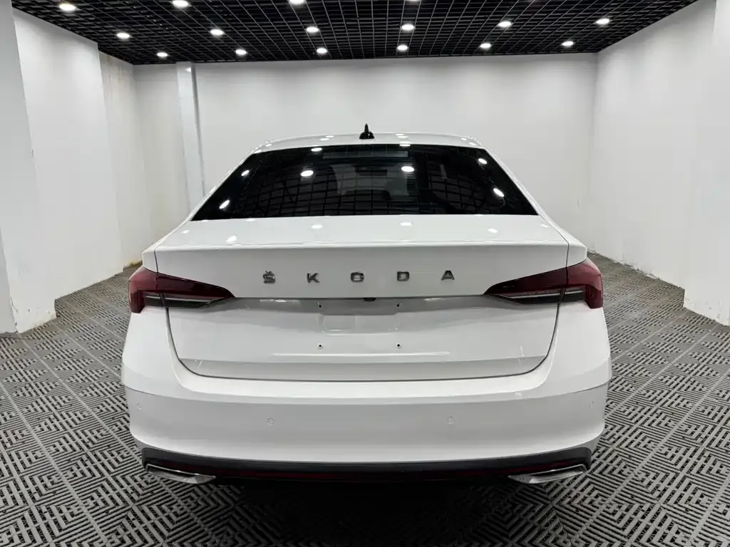 Skoda Octavia 2022 из CN, фото 9