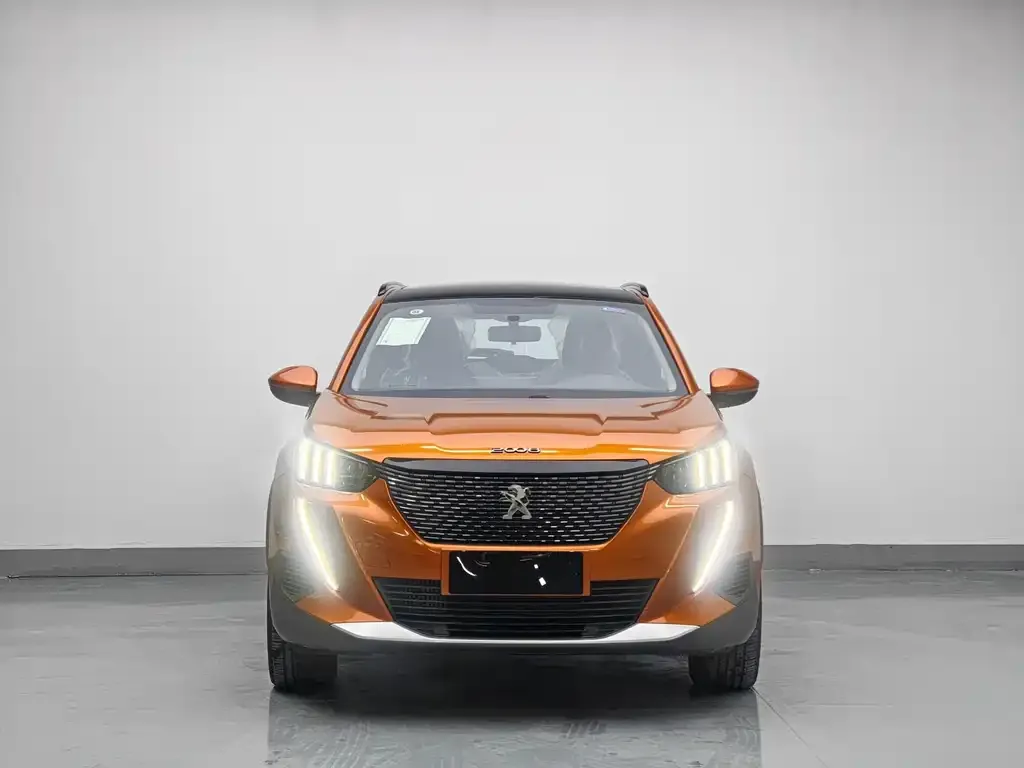 Peugeot 2008 2021 из CN, фото 2