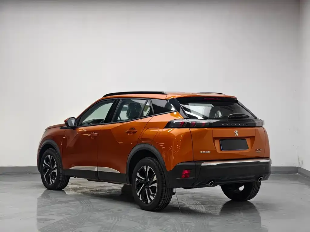 Peugeot 2008 2021 из CN, фото 8