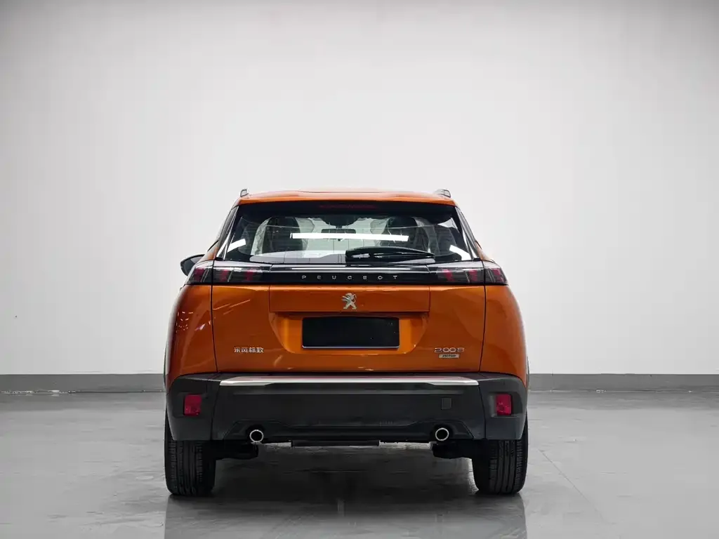 Peugeot 2008 2021 из CN, фото 3