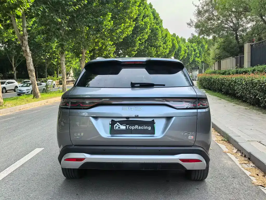 BYD L DM-i 2024 из CN, фото 6