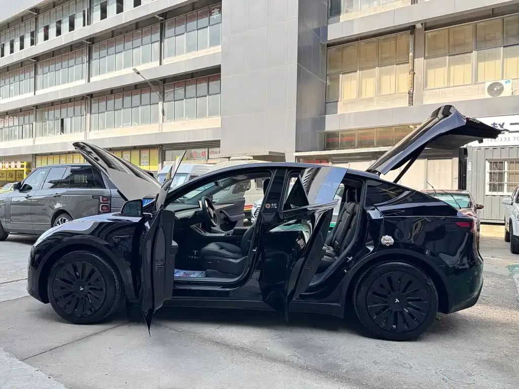Tesla Model Y — фото 10