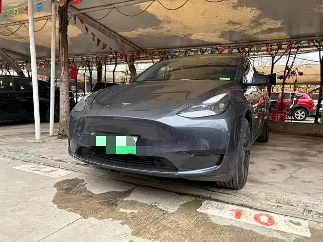 Tesla Model Y — фото 1