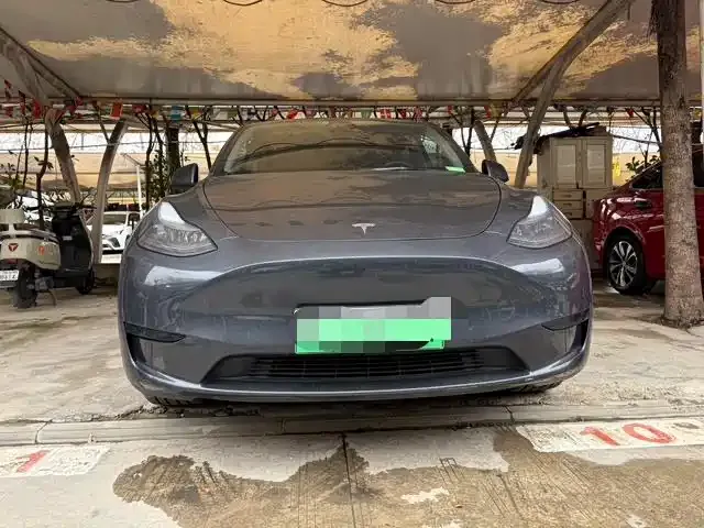 Tesla Model Y — фото 3