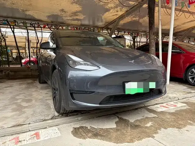 Tesla Model Y — фото 10