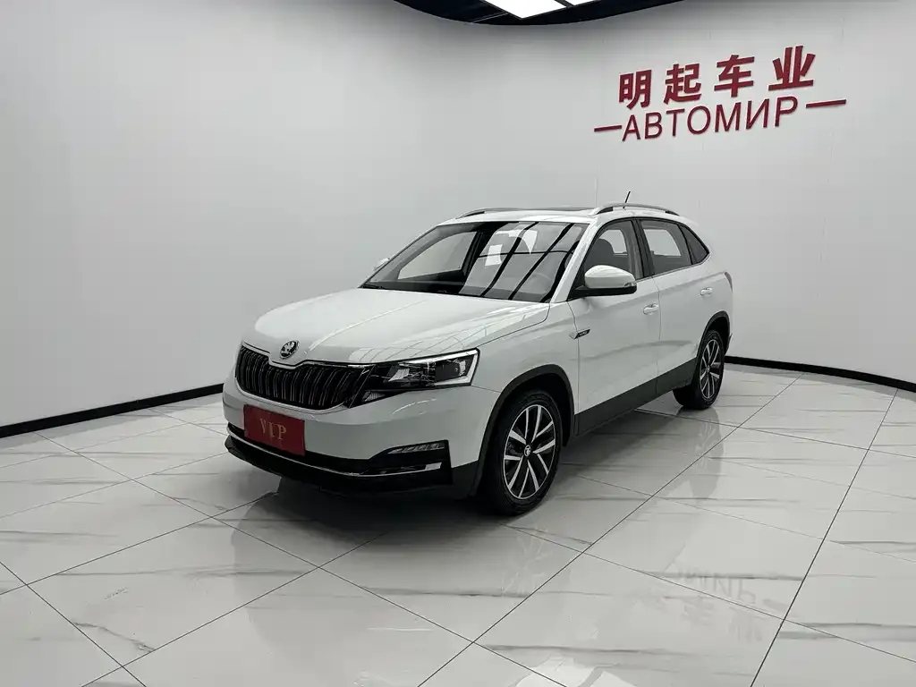 Skoda Kamiq — фото 8