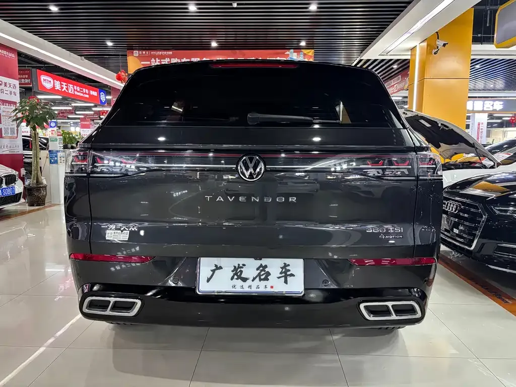 Volkswagen Tavendor 2024 из CN, фото 5