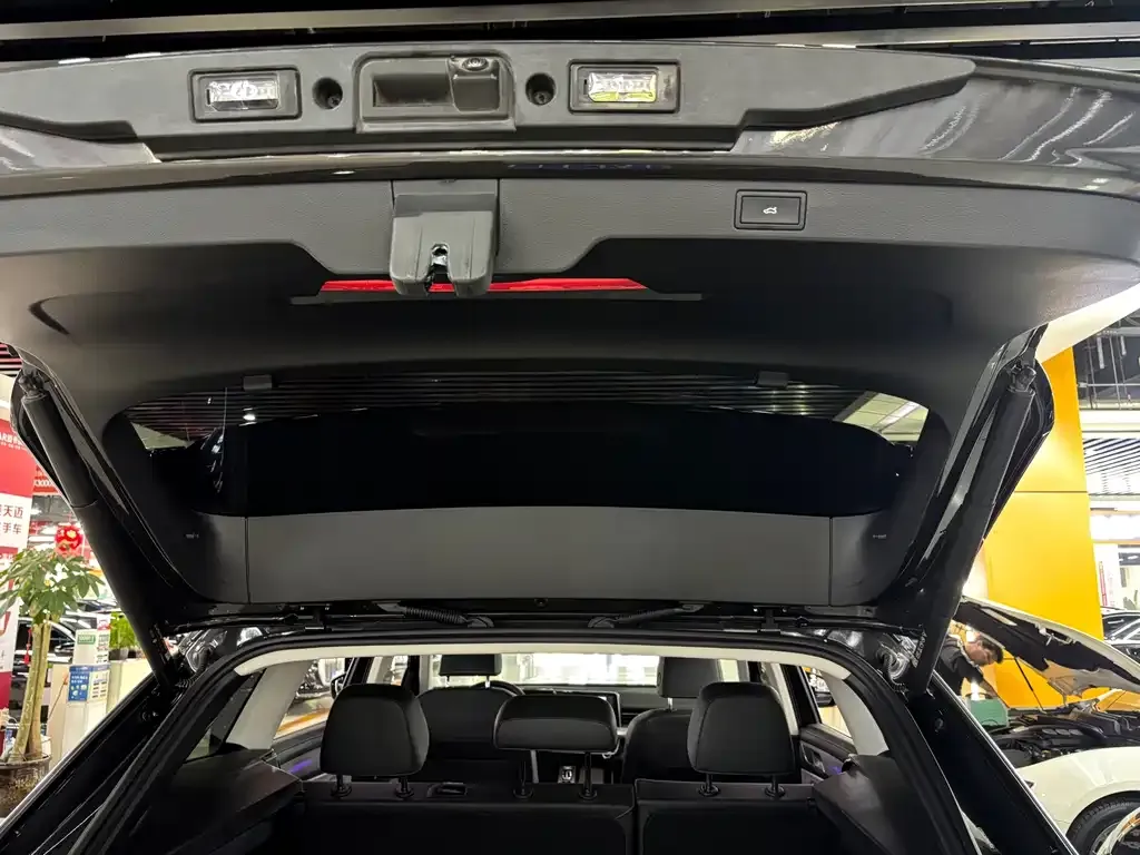 Volkswagen Tavendor 2024 из CN, фото 8