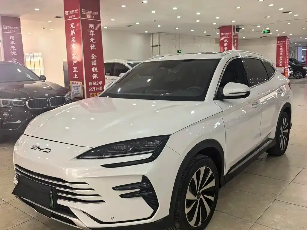 BYD PLUS New Energy