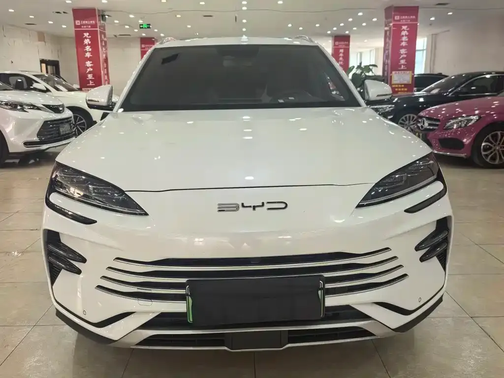 BYD PLUS New Energy 2024 из CN, фото 5