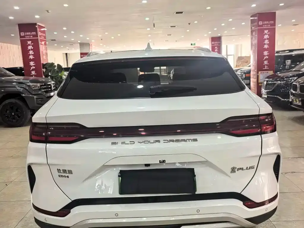 BYD PLUS New Energy 2024 из CN, фото 7