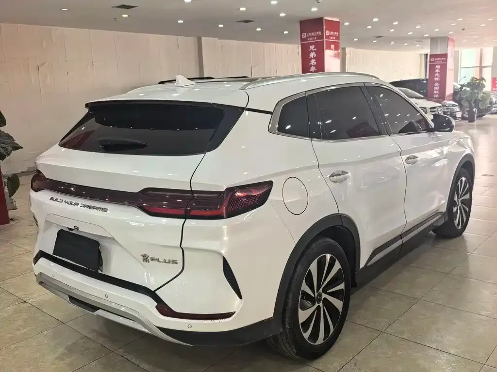 BYD PLUS New Energy 2024 из CN, фото 3