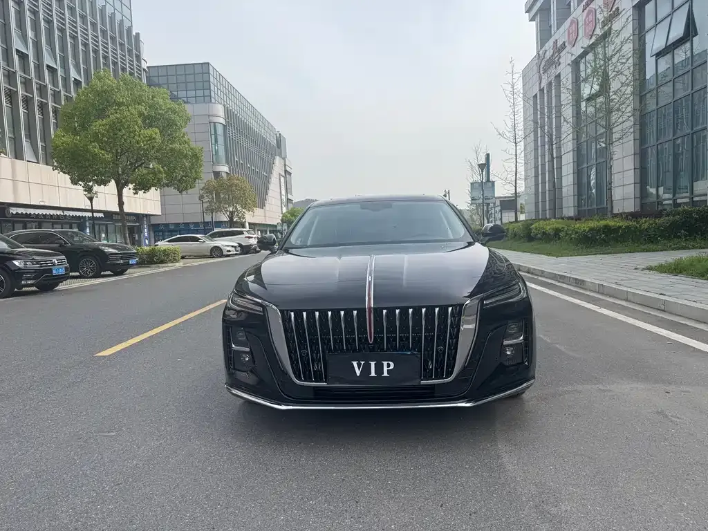 Hongqi H5 — фото 10