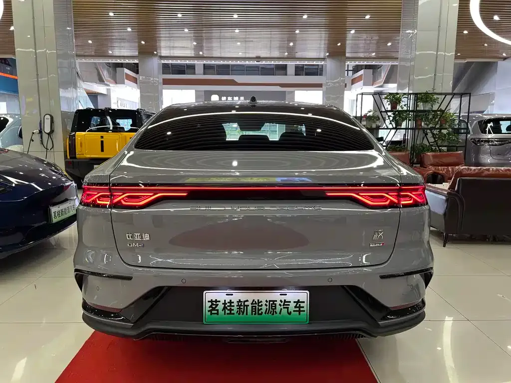 BYD Han — фото 10