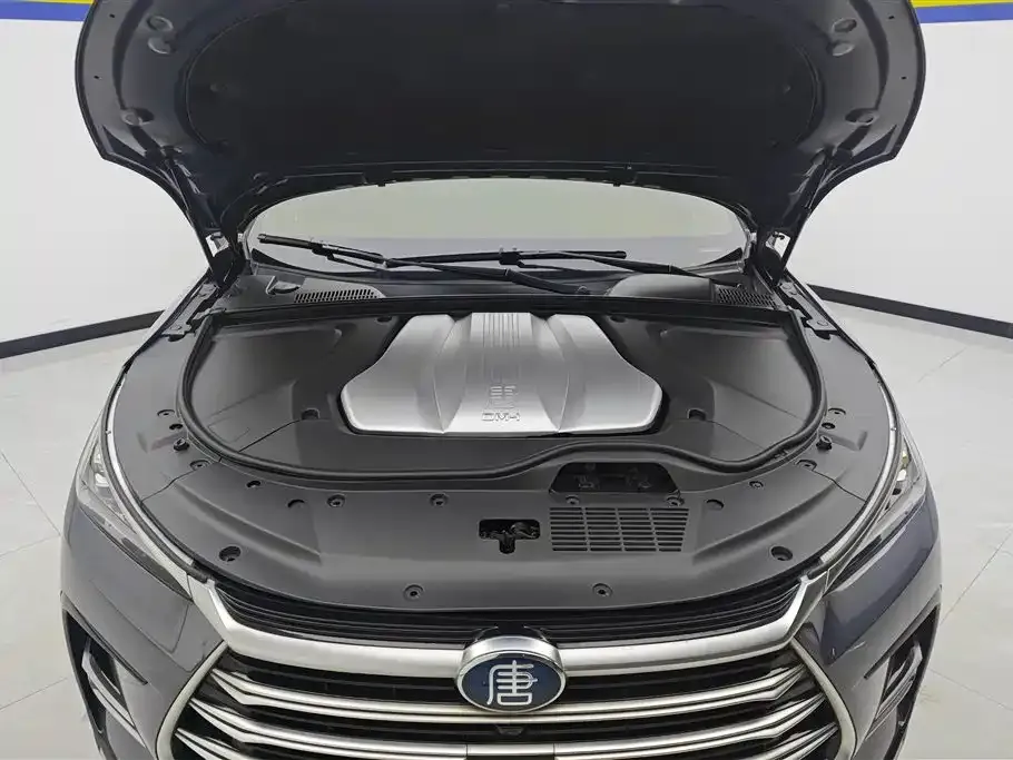 BYD Tang New Energy — фото 10