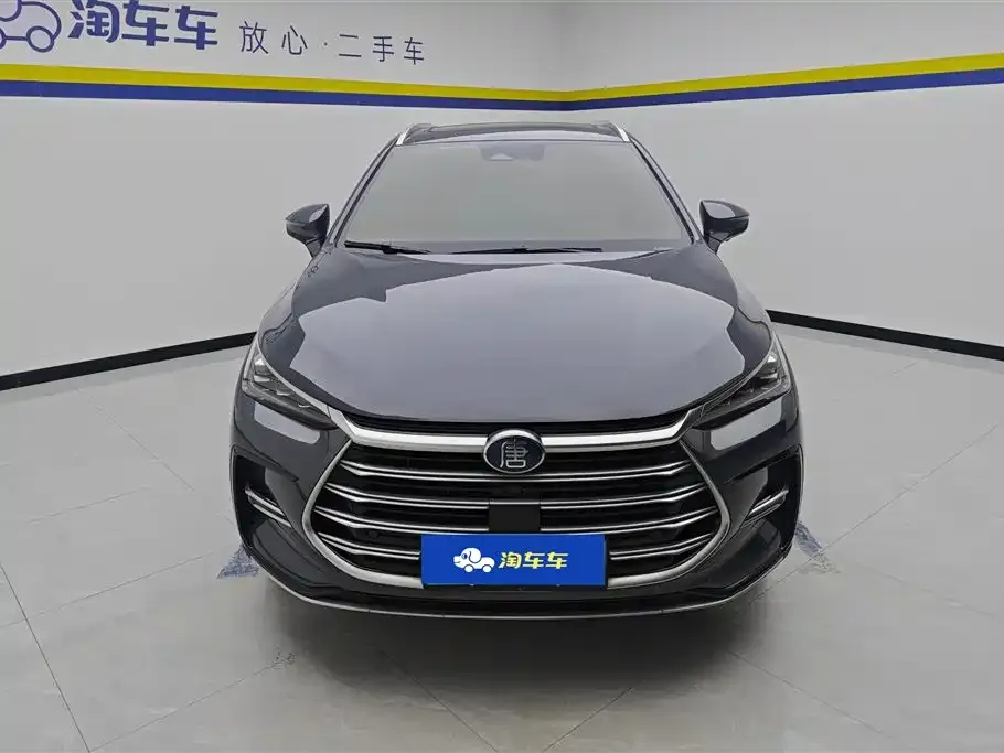 BYD Tang New Energy — фото 2