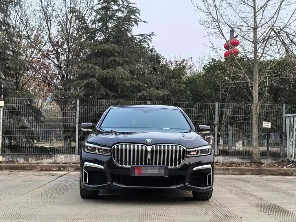 BMW 7 Series 2022 из CN, фото 7