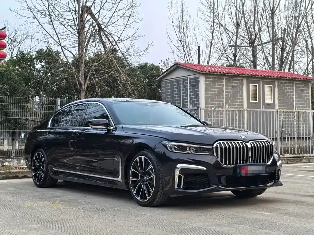 BMW 7 Series 2022 из CN, фото 8