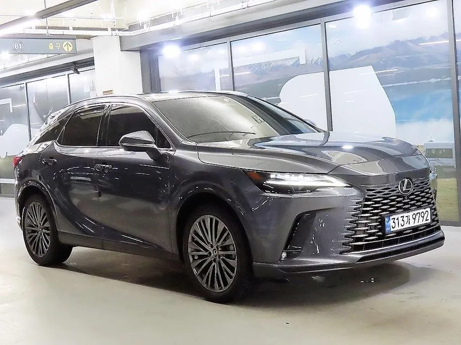 Lexus RX 2024 из KR, фото 7