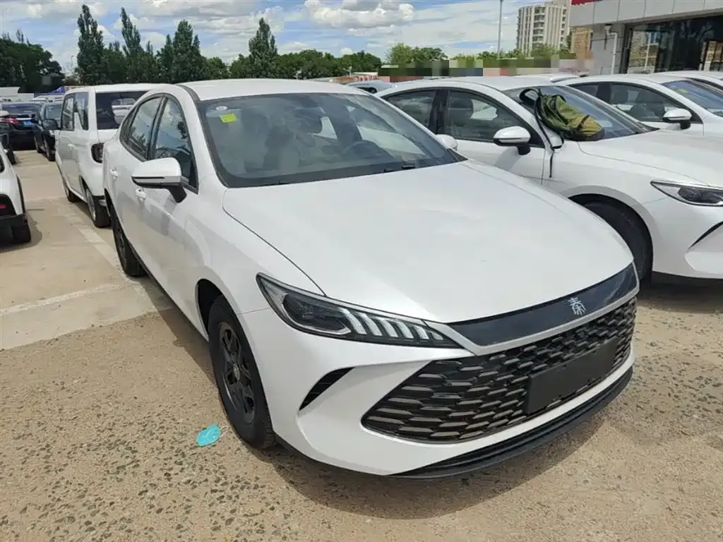 BYD Qin PLUS — фото 3